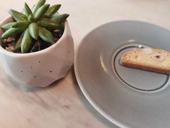 -厦门喜来登酒店