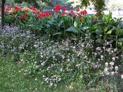 iphone_upload_pic-泰丰公园