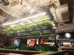 -猫爪爪原切自助烤肉(观音桥阳光世纪店)