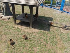 -大连森林动物园