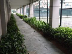 -莲花体育中心