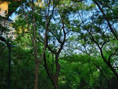 -山东大学(趵突泉校区)