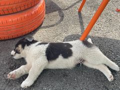 -赛达赛车主题乐园·卡丁车·团建