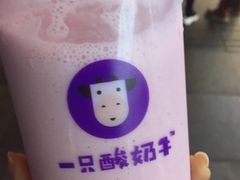 -一只酸奶牛(八一路店)