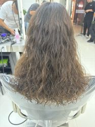 -FINE HAIR 烫染专业设计