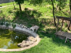 -石家庄市动物园