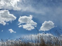 -野鸭湖国家湿地公园