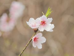 -西安浐灞国家湿地公园