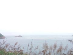 -枸杞岛