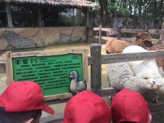 -乐融儿童之家早教托育(武昌校区)