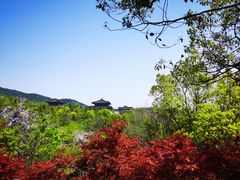 -敬亭山风景名胜区