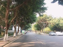 -四川大学(望江校区)
