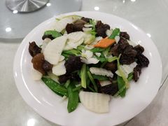 -姚林轩