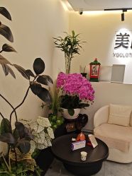 -海涛医疗美容·面部抗衰·注射美鼻