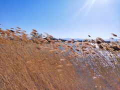 -野鸭湖国家湿地公园