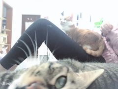 -暖阳宠物医院·犬猫康复中心·骨科