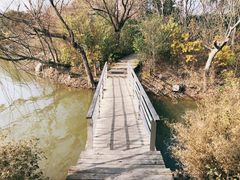 -吴淞炮台湾湿地森林公园烧烤区