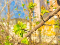 -北运河水利风景区