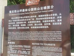 -铁山坪森林公园