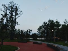 -洋湖国家湿地公园