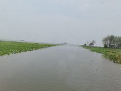 -滕州微山湖红荷湿地景区