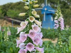 -广州市流溪河国家森林公园