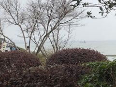 -贡湖湾湿地公园