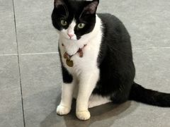 -原田新料理(1912店)