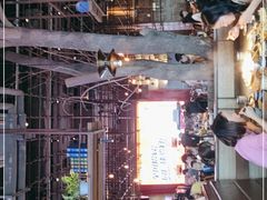 -同仁四季椰子鸡(宝安壹方城店)