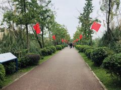 -白鹭湾湿地公园