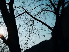 -灵山