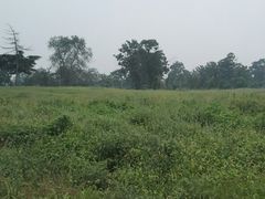 -汉长安城未央宫国家考古遗址公园