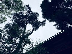 -保定直隶总督署博物馆