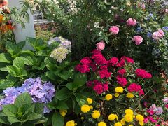 -深圳国际园林花卉博览园