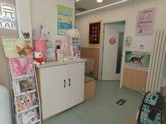 -瑞派·关忠动物医院·猫专科·犬专科(三环新城店)