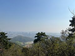 -惠山国家森林公园