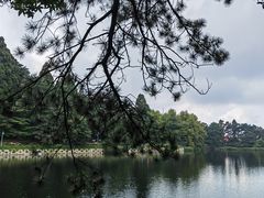 -庐山风景区花径公园