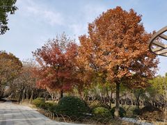 -颐景园