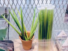 -金泽21世纪美术馆