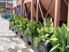 -新天地活力PARK