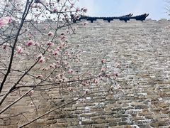 -东华门大街小区