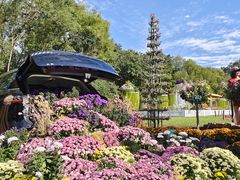 -上海共青森林公园