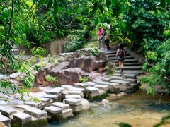 -广州白江湖森林公园