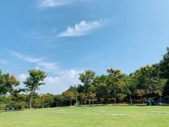 -尚贤河湿地