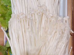 -芦月轩羊蝎子(劲松店)