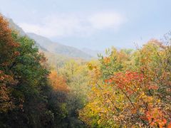 -北京鹫峰国家森林公园