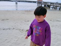 -东郊椰林