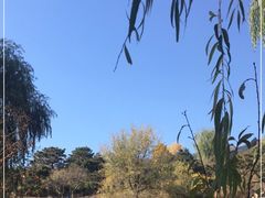 -北京西山国家森林公园