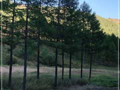 -塞罕坝国家级自然保护区