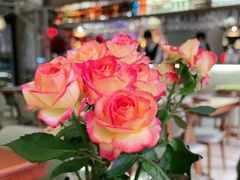 -ELI FALAFEL Lebanese&Mediterranean黎巴嫩美食(富城路店)